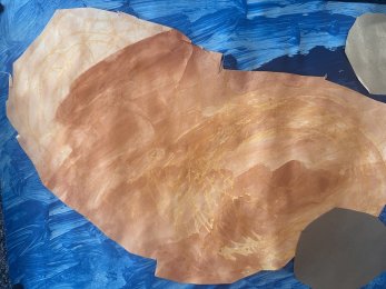 Kindergarten Oesch B