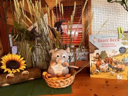 Kindergarten Ersigen